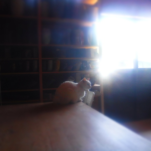 d0195183_01022317.jpeg