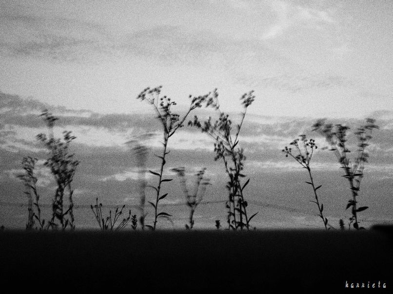 c0152690_22270602.jpg