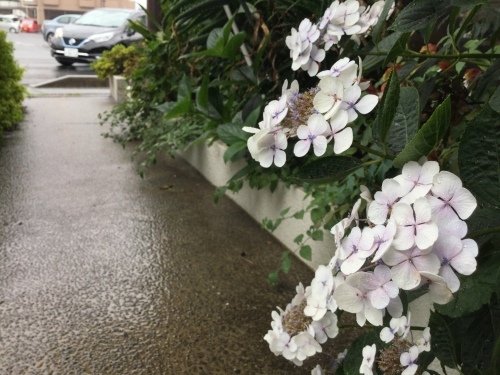 c0151691_16061670.jpeg
