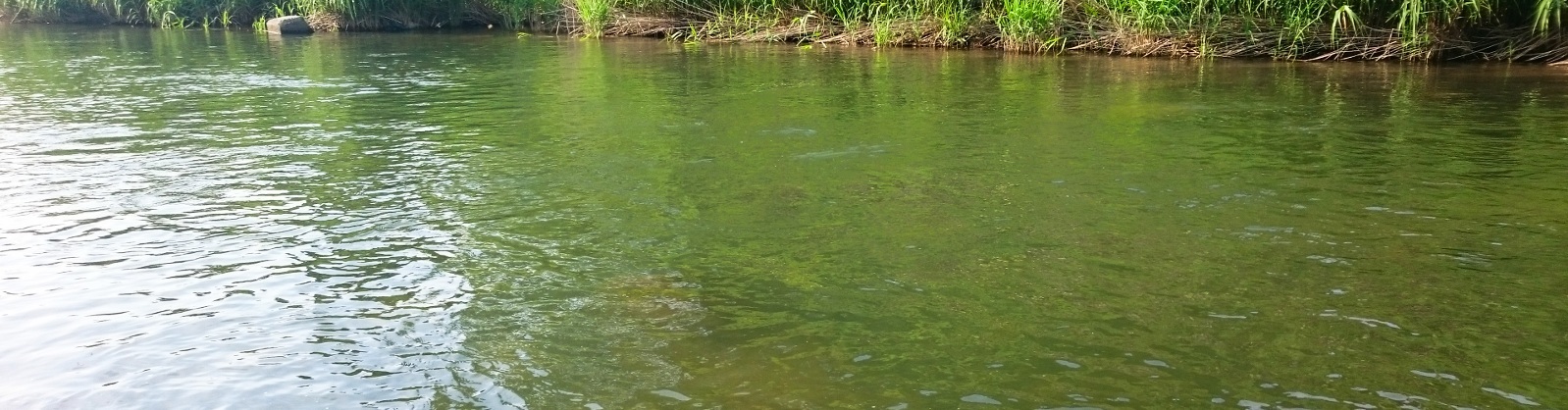 f0266202_16492162.jpg
