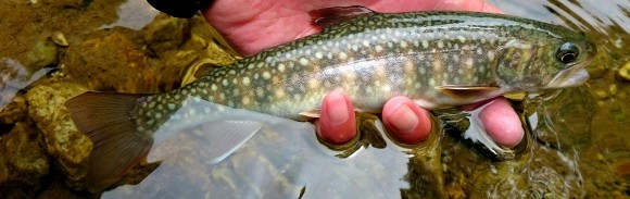f0266202_16514496.jpg