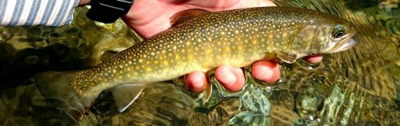 f0266202_16520107.jpg