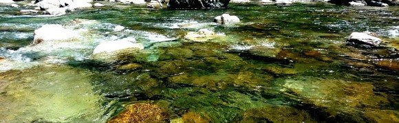 f0266202_16533103.jpg