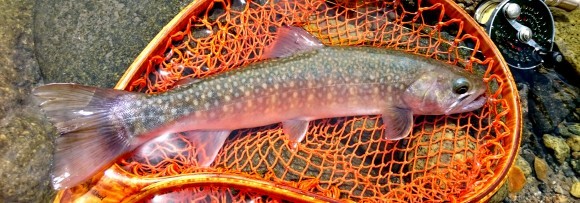 f0266202_16542073.jpg