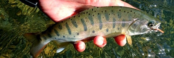 f0266202_16563206.jpg