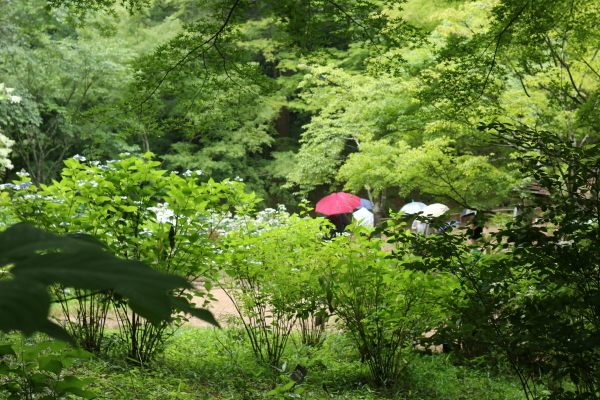 a0123003_09221795.jpg
