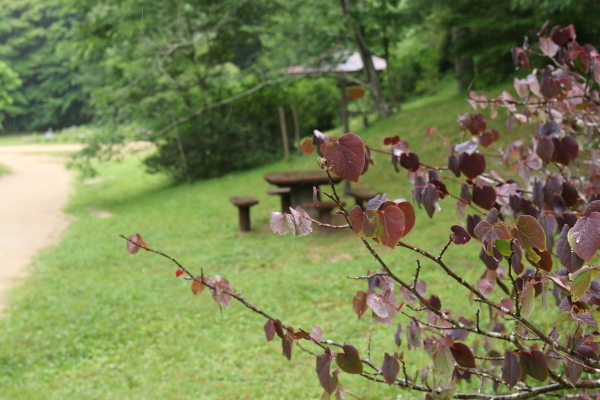 a0123003_09251551.jpg