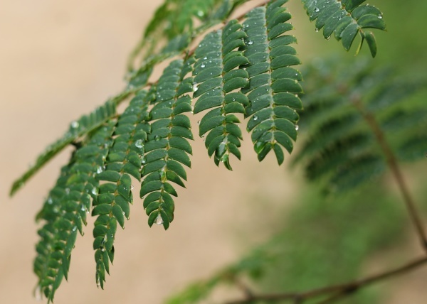 a0123003_09333801.jpg