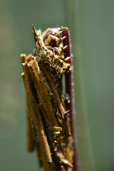 a0240403_12592061.jpg