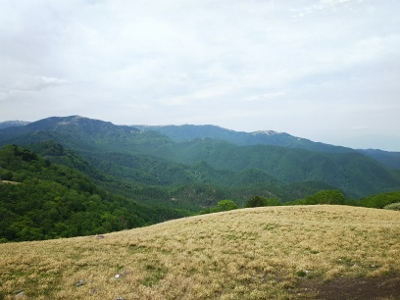 b0040606_20404244.jpg