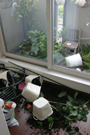 b0238306_18372716.jpg