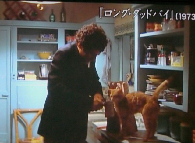 歌詞の解説 Movies もまゆきゅ 歌心 猿心