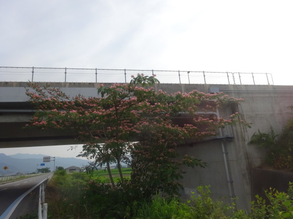 f0231709_19295529.jpg