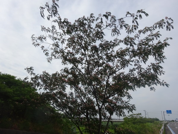 f0231709_19303138.jpg
