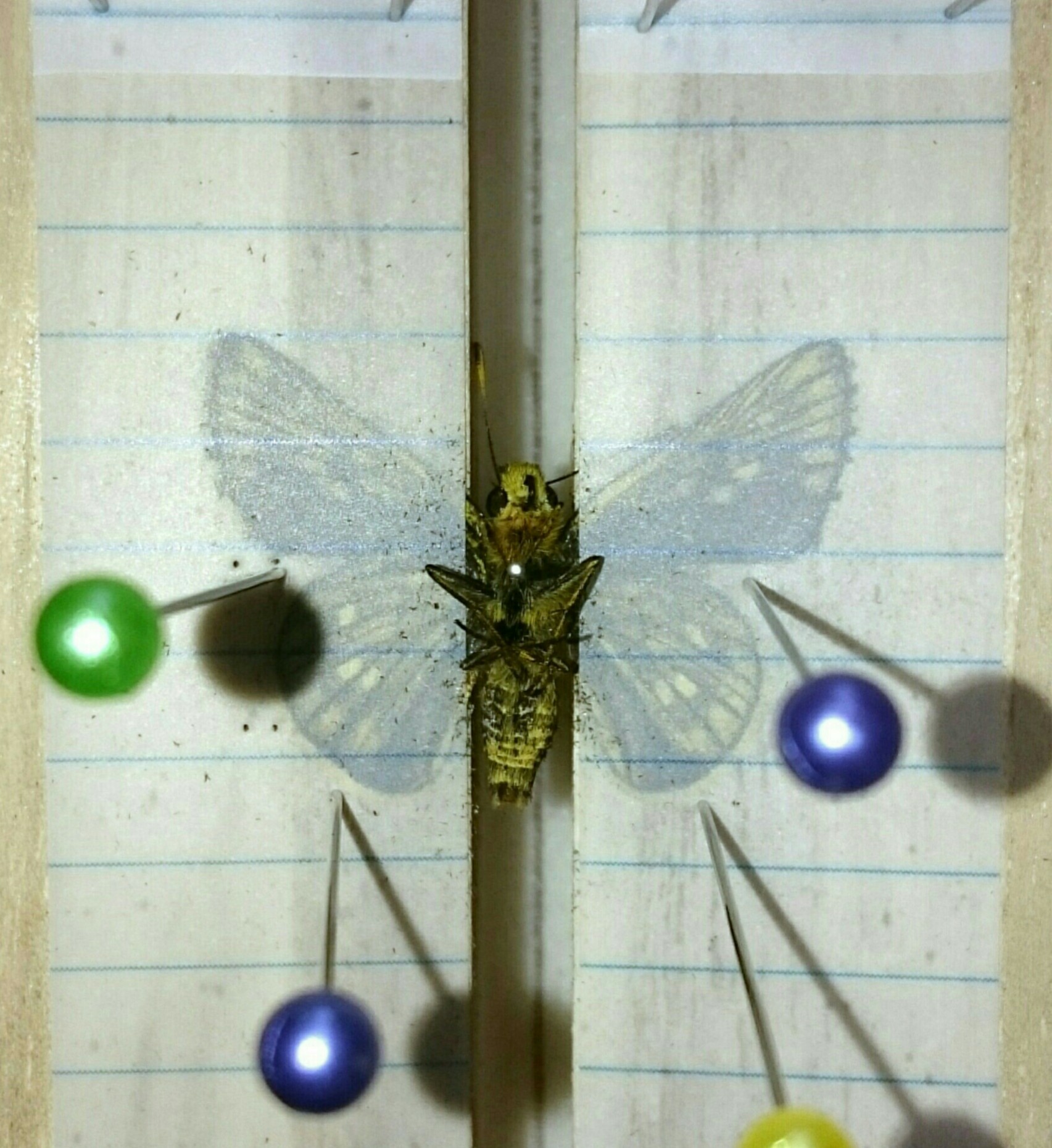 a0361610_13431935.jpg