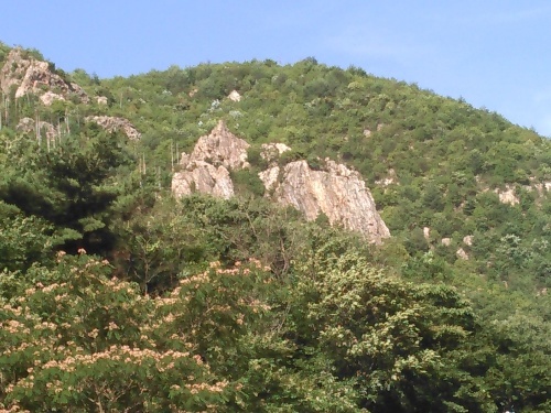 c0359615_17581065.jpg
