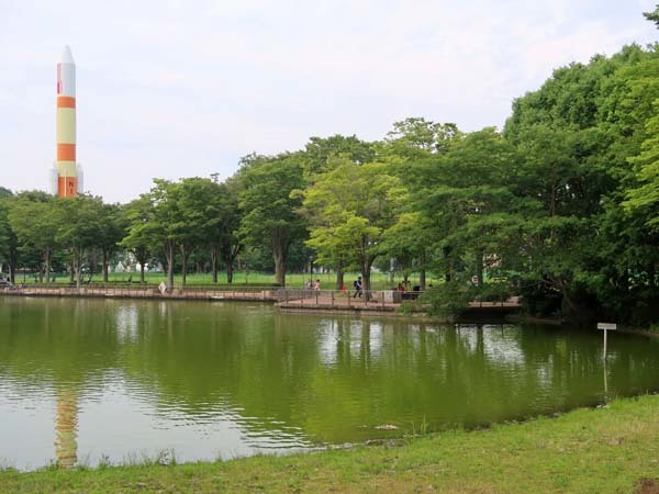 中央公園の池 つくば市 ひな日記