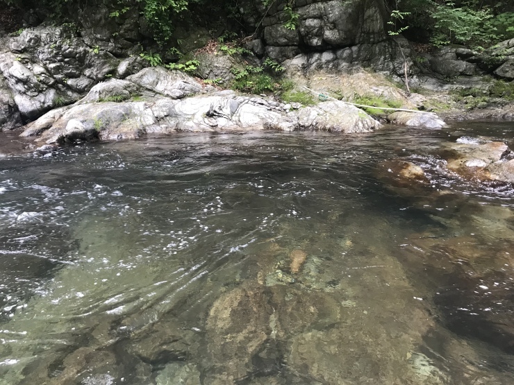 d0172227_00032758.jpeg