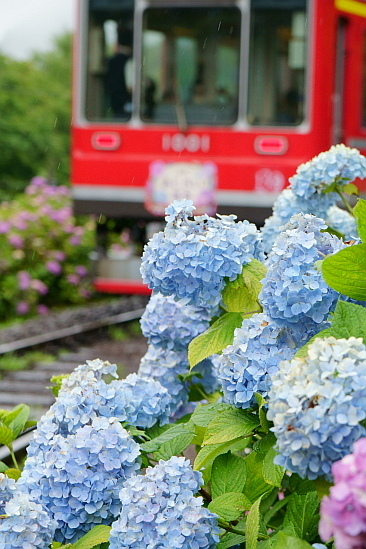 f0037227_00274020.jpg