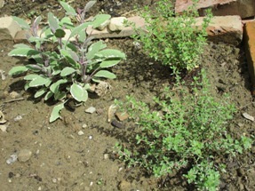 f0157327_04454775.jpg