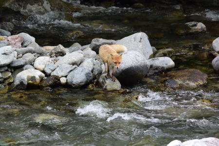 c0353632_13274768.jpg