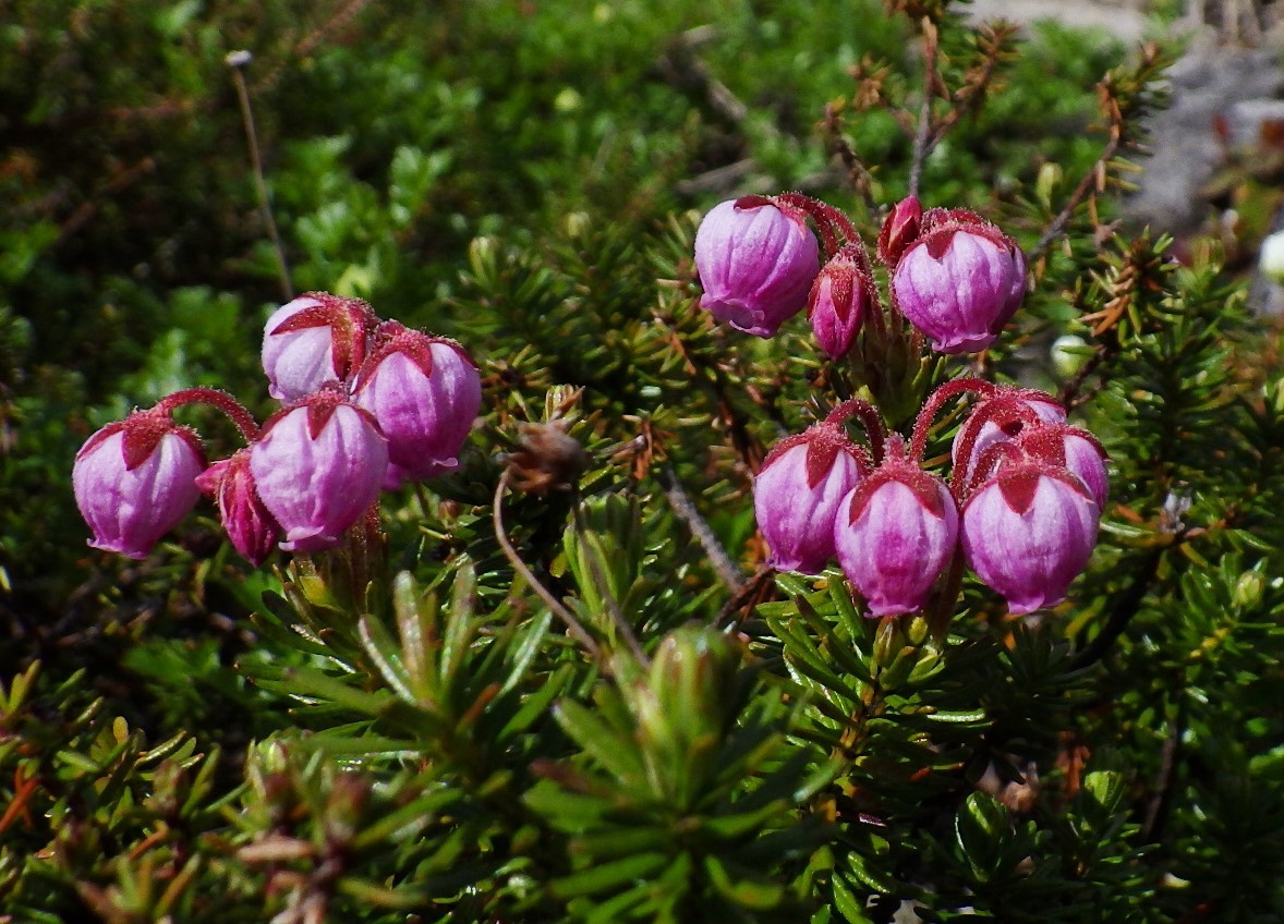 f0118332_01014743.jpg