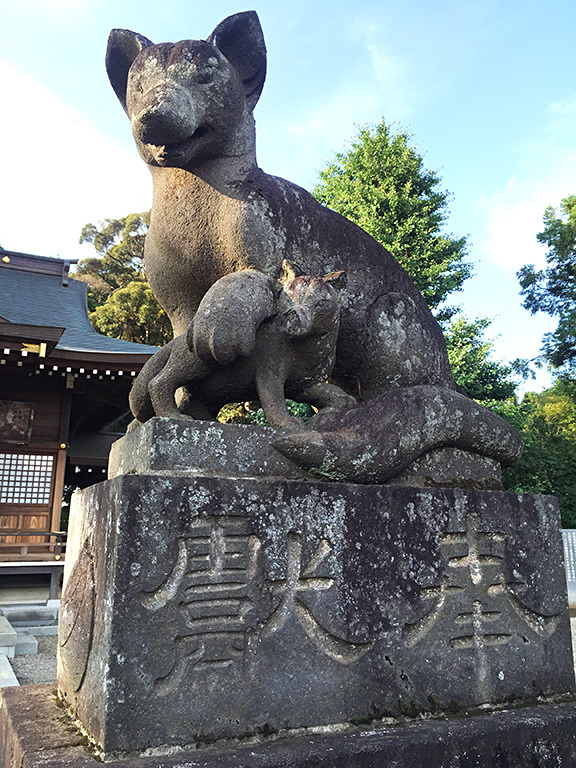 女化神社　　2018/06/22-fri_f0031535_12441092.jpg