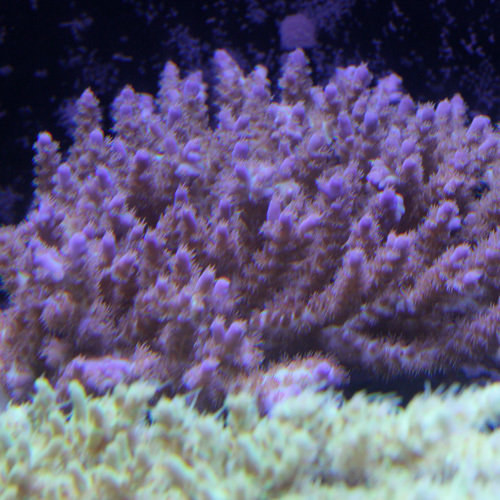 d0221436_23263731.jpg