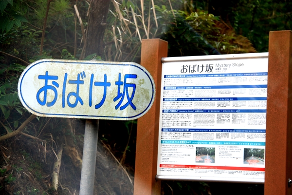 c0229539_115669.jpg