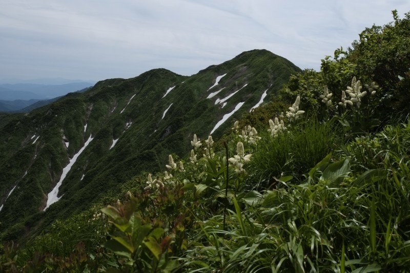 d0347140_21232139.jpg