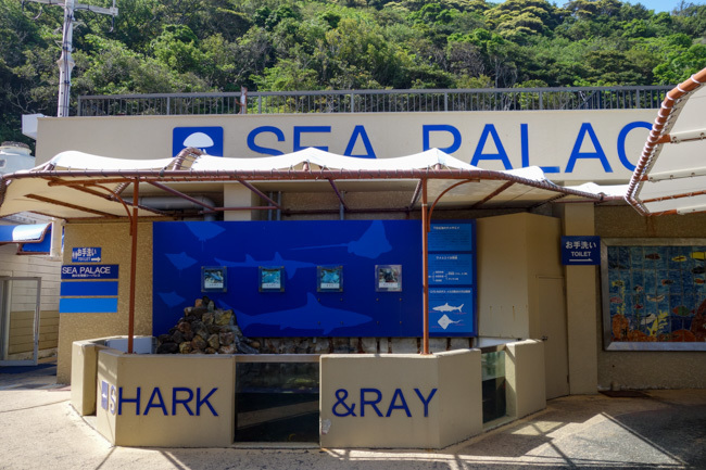 2018/05/01 下田海中水族館３_b0330044_22121375.jpg