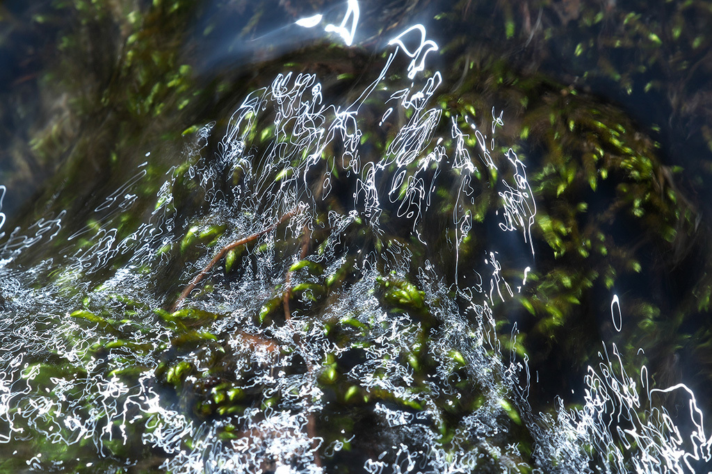 水面の光跡_d0360547_06381747.jpg