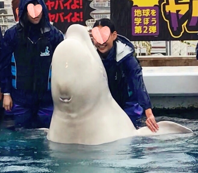 f0304452_12061719.jpeg