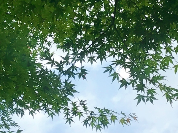 f0304452_23145286.jpeg