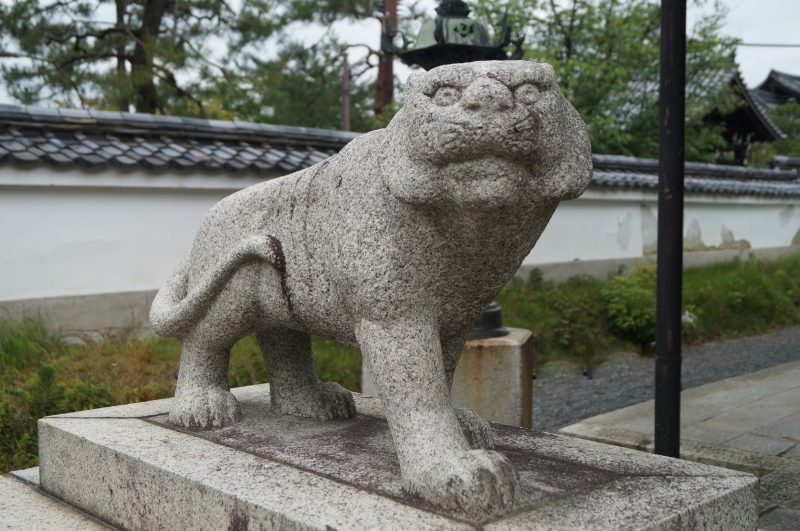 建仁寺両足院・毘沙門天堂の狛虎_b0063958_05302577.jpg