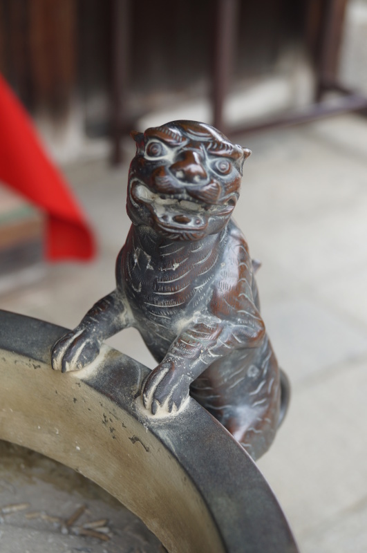 建仁寺両足院・毘沙門天堂の狛虎_b0063958_05322951.jpg
