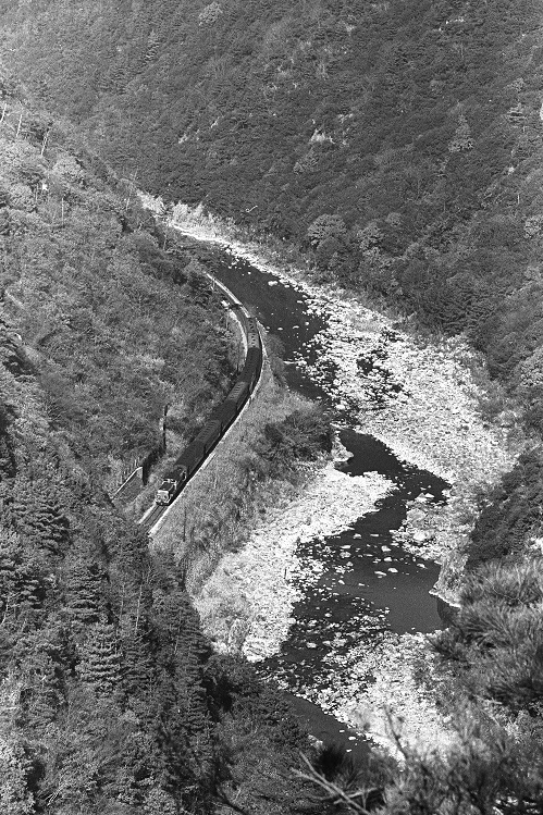 d0336159_20512053.jpg