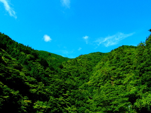 f0327061_21500559.jpg