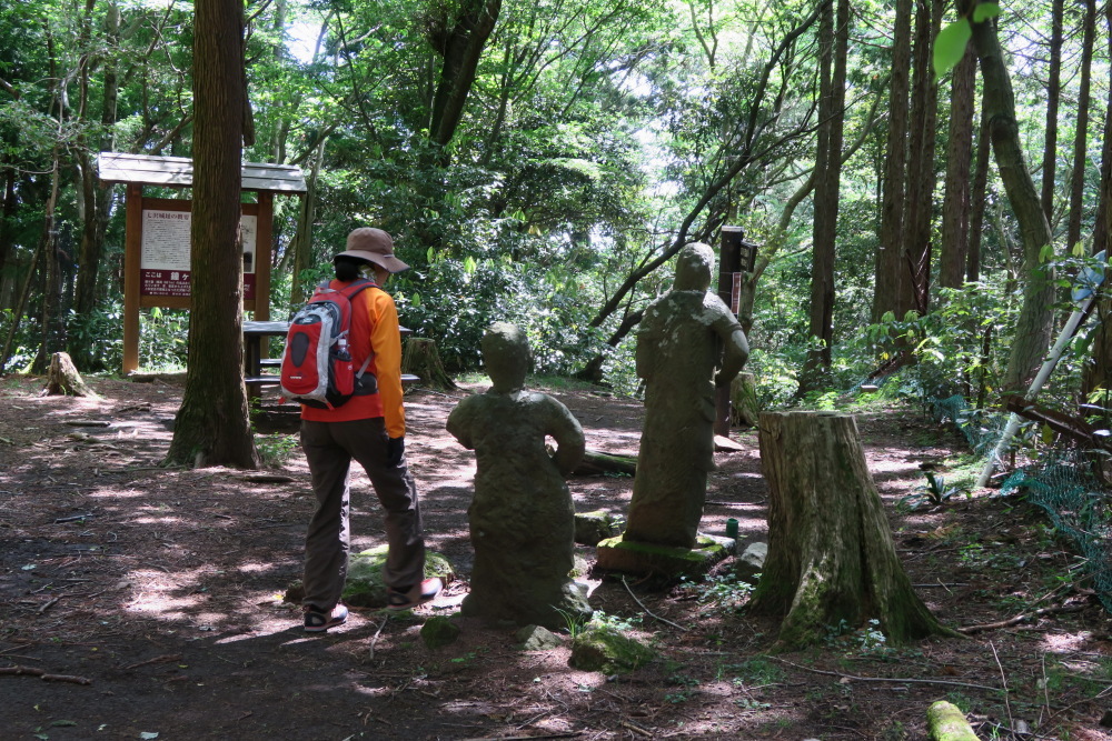 2018年6月1日 鐘ヶ嶽、5日 仏果山・高取山、9日 七沢公園 ハイキング_c0127663_05231172.jpg