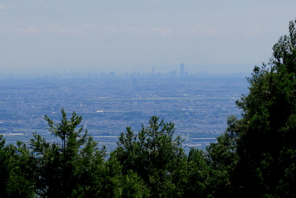 2018年6月1日 鐘ヶ嶽、5日 仏果山・高取山、9日 七沢公園 ハイキング_c0127663_05401200.jpg