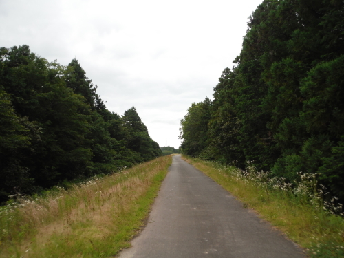 伊勢本街道サイクリング_b0332867_00183203.jpg