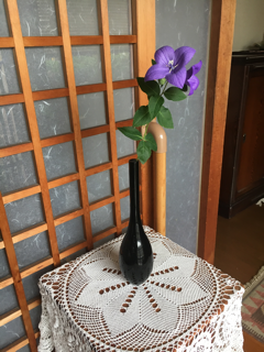 チーム「踊子草」20年_f0363168_07240714.png