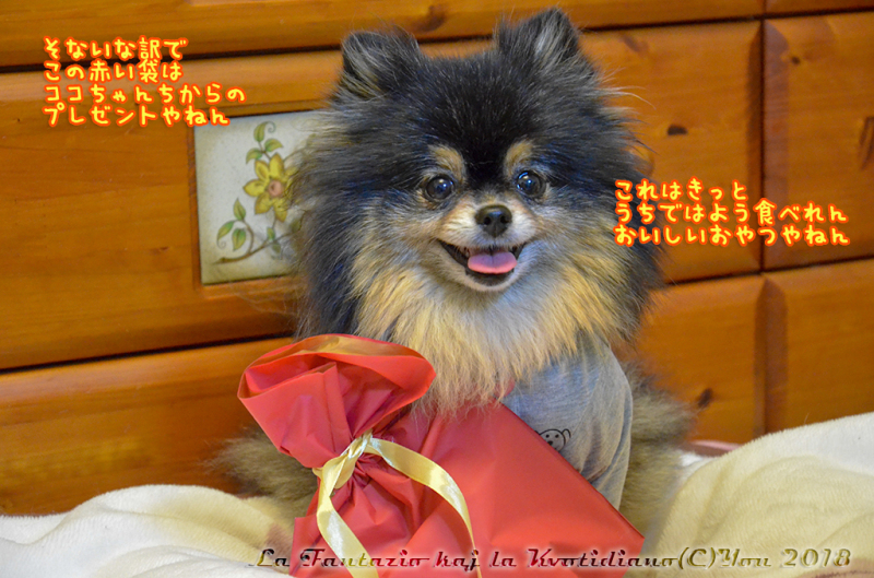 a0004070_23253469.jpg