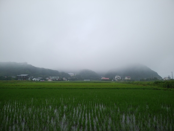 6/24　雨空　☔　水平線霞む　_f0376072_10302864.jpg