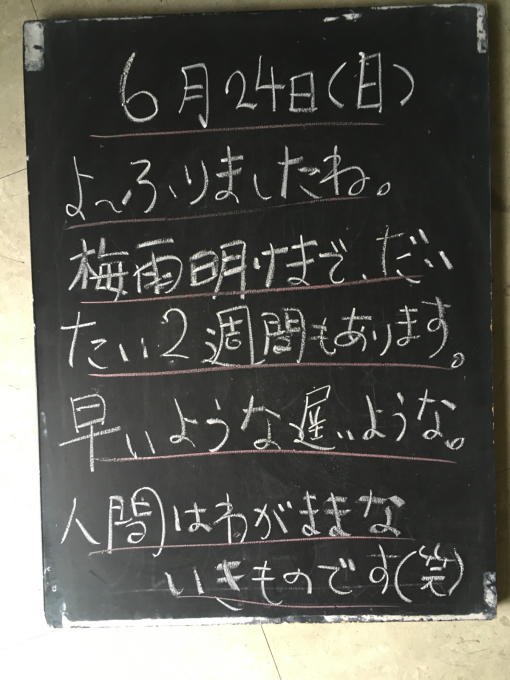うれしい里帰り…_f0152875_10132161.jpg