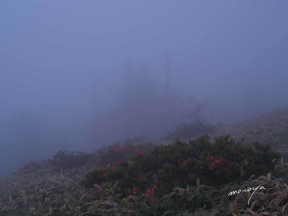 霧の中で_c0085877_05452154.jpg