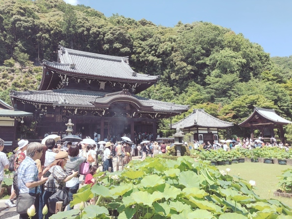 隠れ家ランチ☆アジサイの咲くお寺_a0142778_11332398.jpg