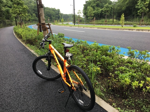 c0023278_15244108.jpeg
