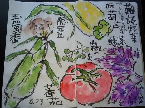 難読野菜 絵手紙の小窓 難読野菜 絵手紙の小窓