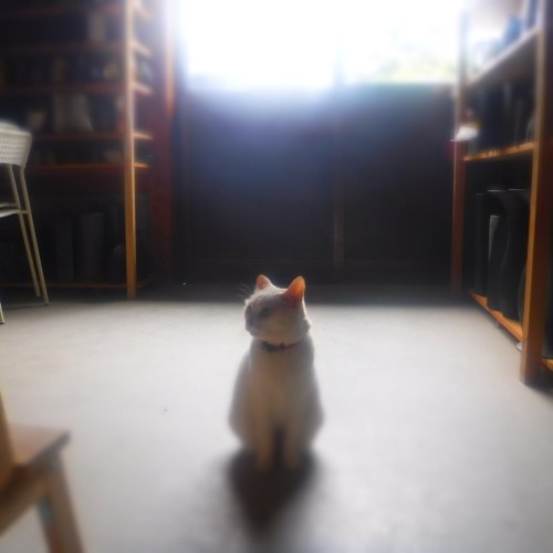 削って作って_d0195183_01143973.jpeg